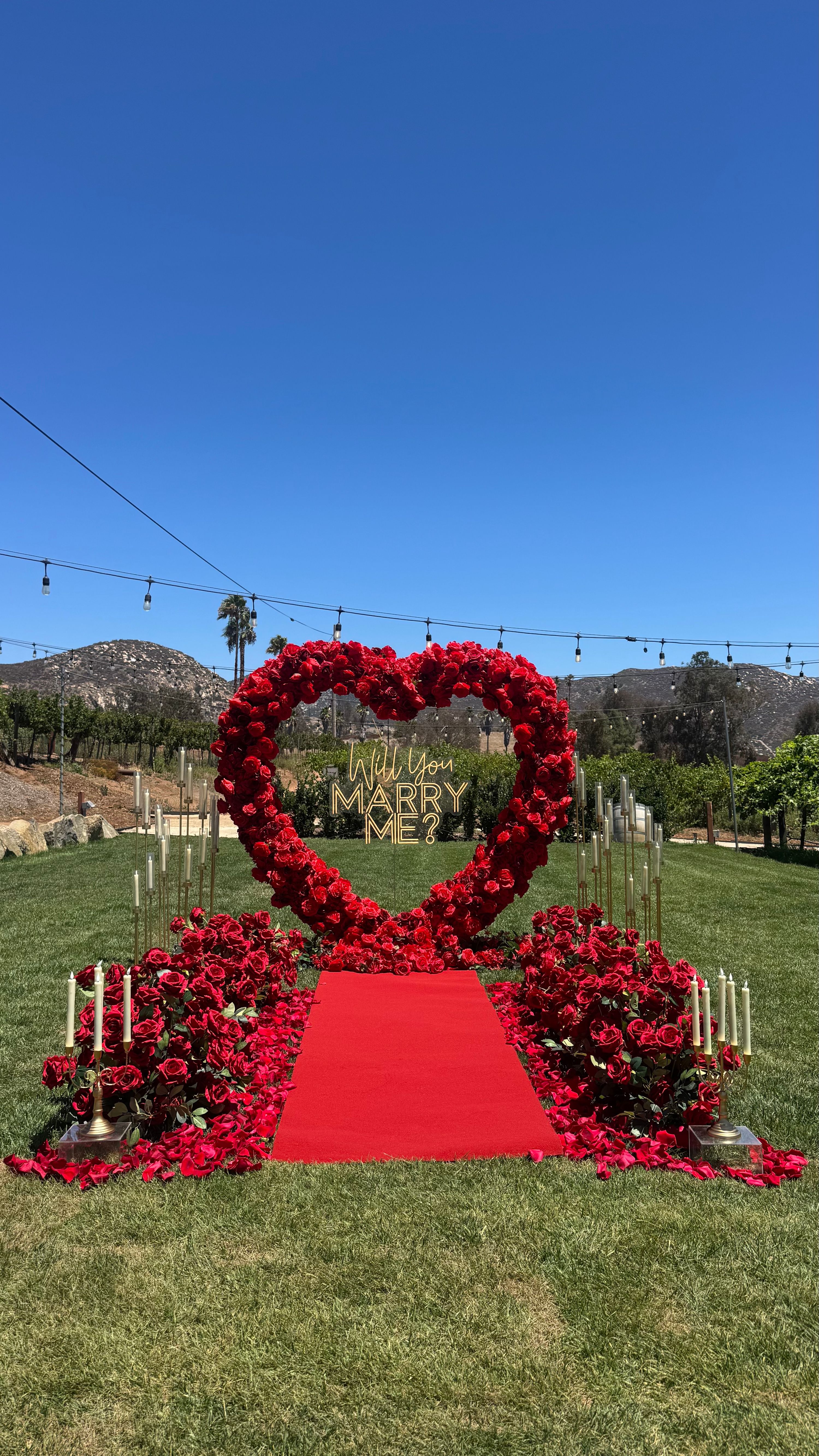 Picnic Memories  Classic heart arch 