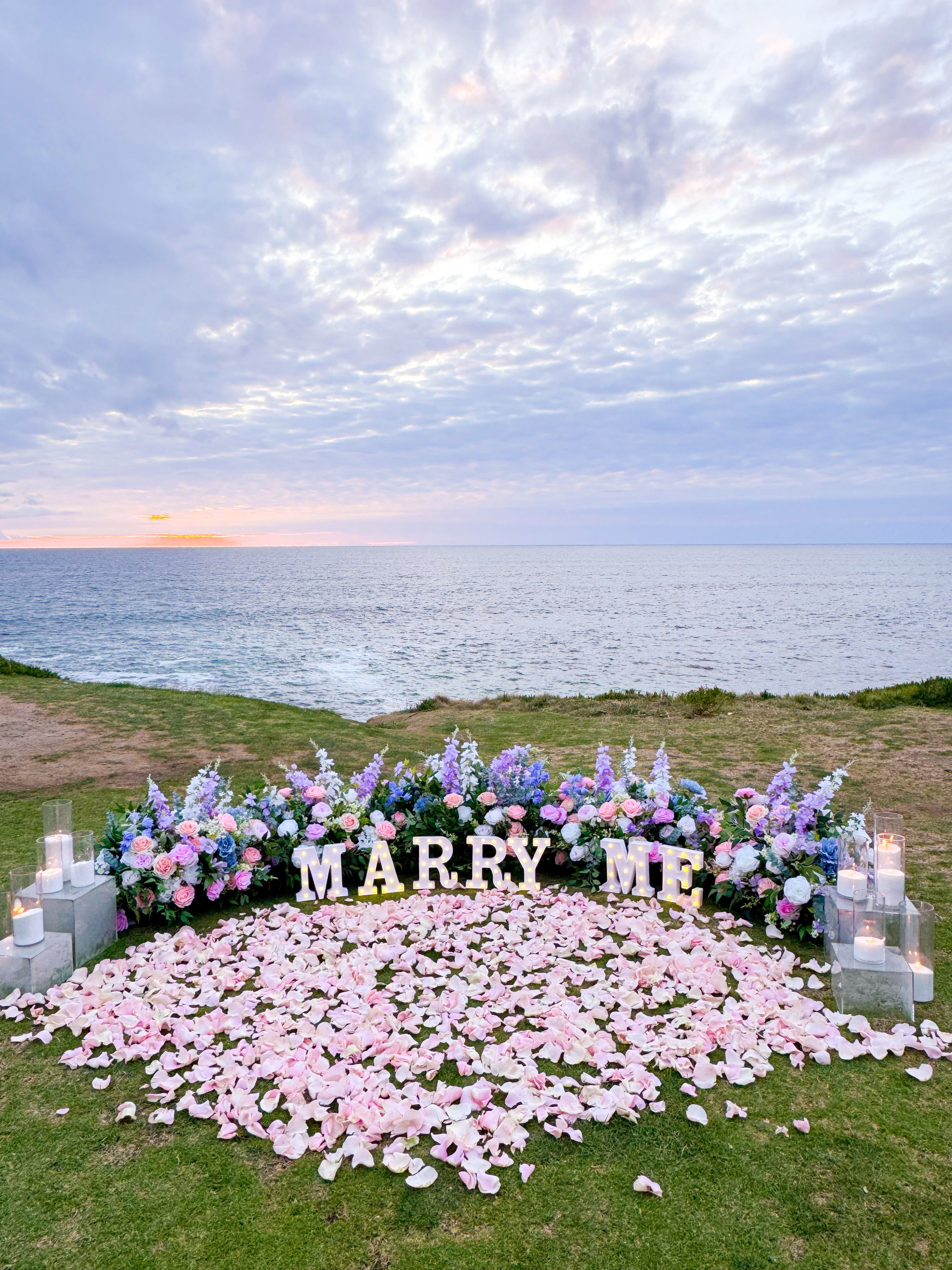 Picnic Memories  Blush blooms proposal 